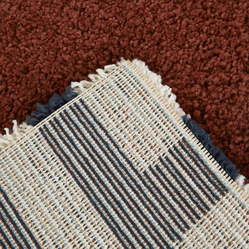 Vasile Border Shag Area Rug