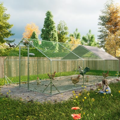 GDFStudio - Harrison Large Walk-In Metal Chicken Coop with Secure Galvanized Wire Run - 10' L x 20' W x 6.56' H