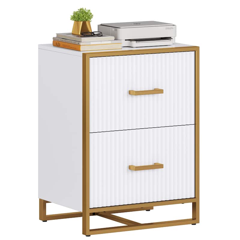 Moasis 2 Drawer File Cabinet with Gold Frame Filing Cabinet for Letter Size Printer Stand - White/Gold