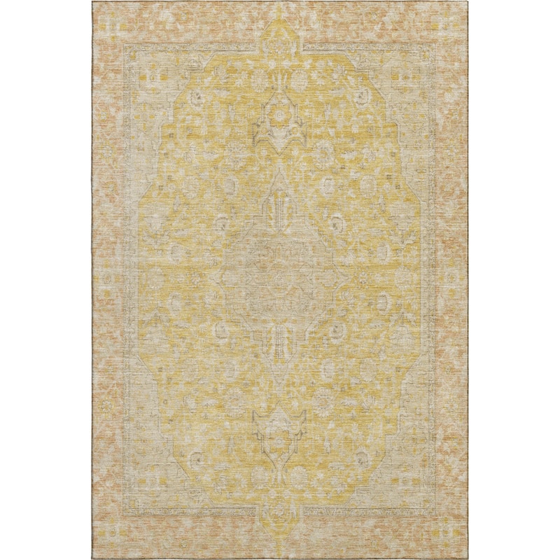Premium Washable Super Soft Vintage Traditional Mayfield Rug