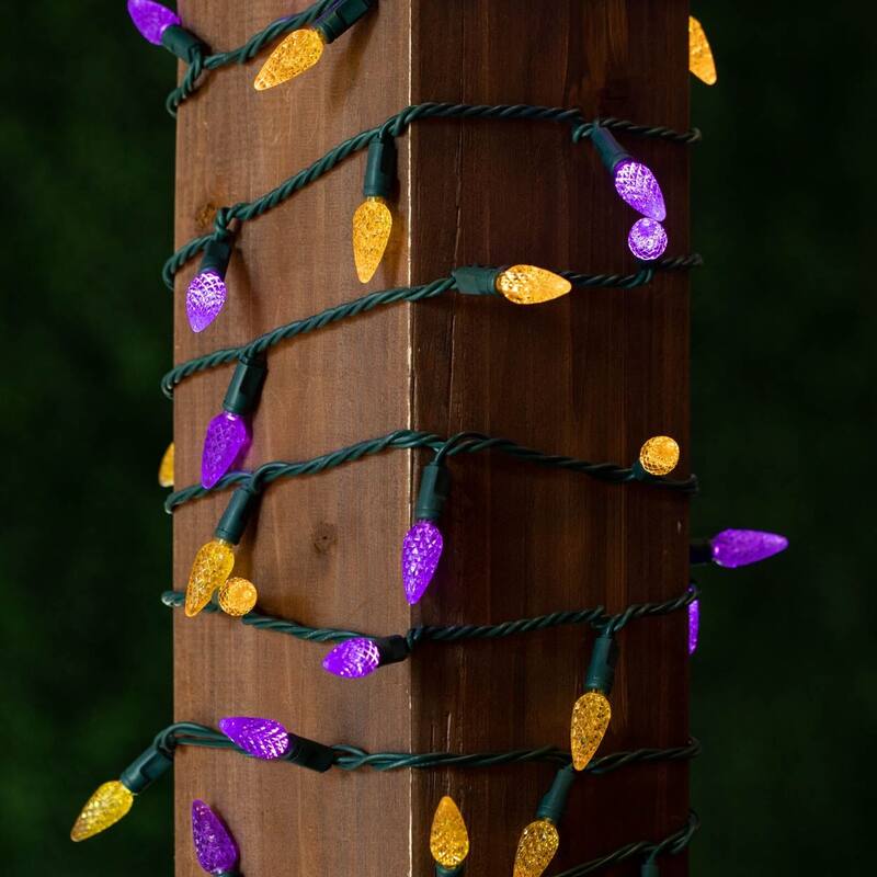 70 Light C6 LED Christmas Mini Light Set, Purple/Yellow, Green Wire, 24 Feet - Large