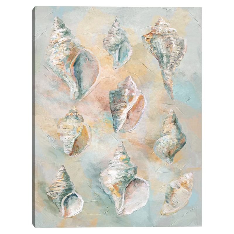 Tulip Shells by Studio Arts Canvas Art Print