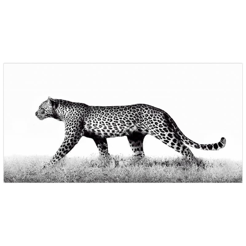 "Fearless Leopard 2" Frameless Free Floating Tempered Glass Panel Graphic Wall Art