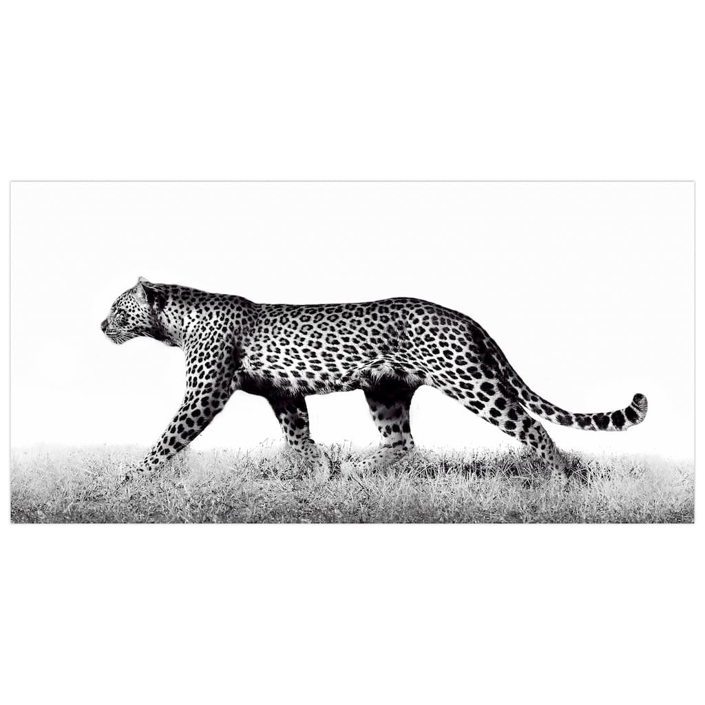 "Fearless Leopard 2" Frameless Free Floating Tempered Glass Panel Graphic Wall Art