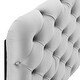 preview thumbnail 26 of 54, Lizzy Tufted Twin Performance Velvet Headboard
