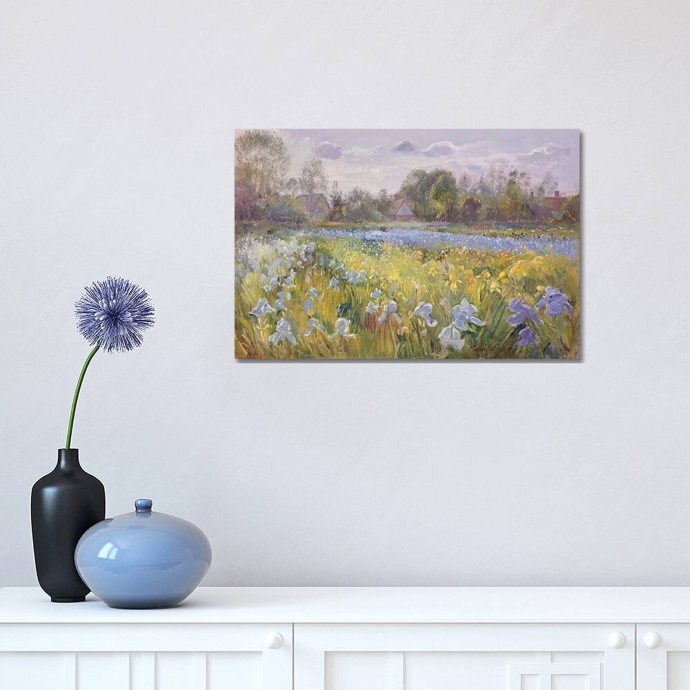 iCanvas "Iris Field In The Evening Light, 1993" by Timothy Easton Canvas Print