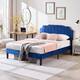 Option Blue