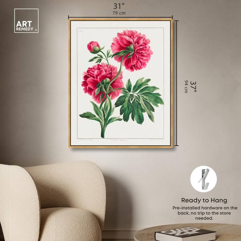 Double Peony (1789) Canvas by Art Remedy