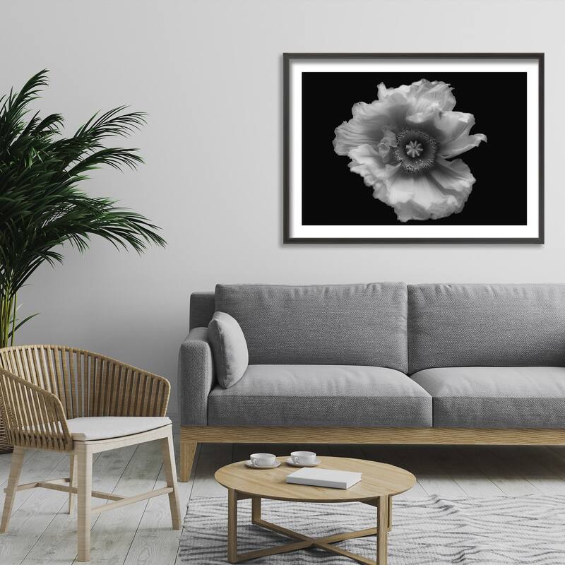 "Poppy in Mono" Framed Print Wall Art by Lotte Gronkjar