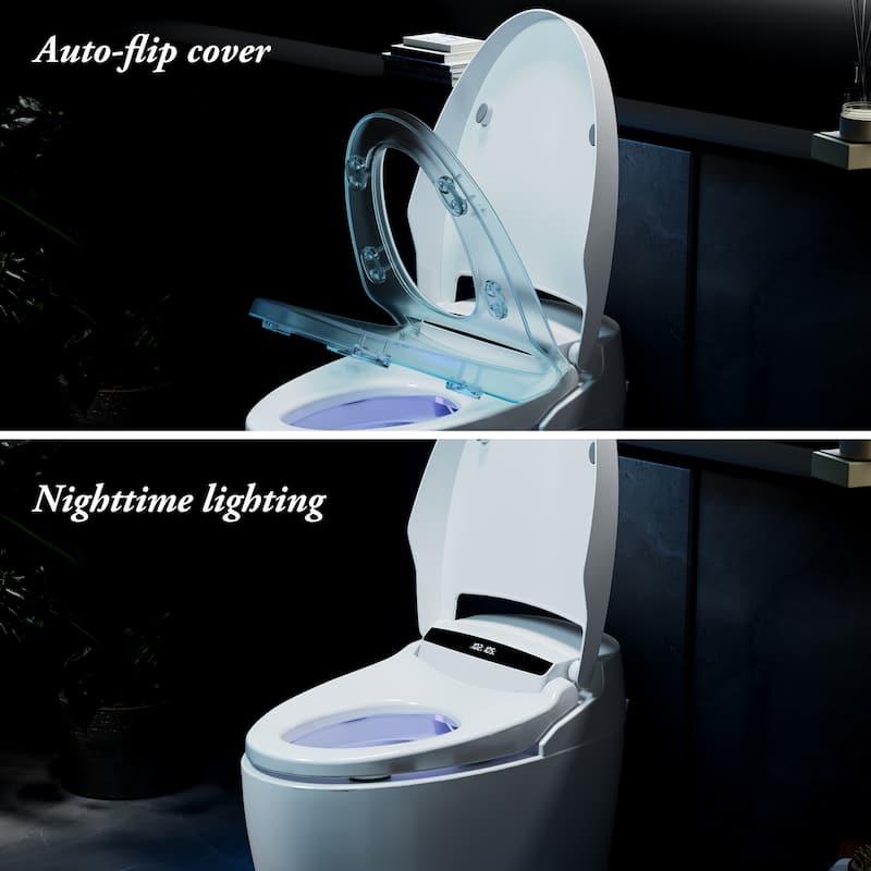 Smart Toilet with Heated Seat & Warm Air Dryer, Auto Flush One Piece Toilet with Night Light, Self Cleaning Nozzle