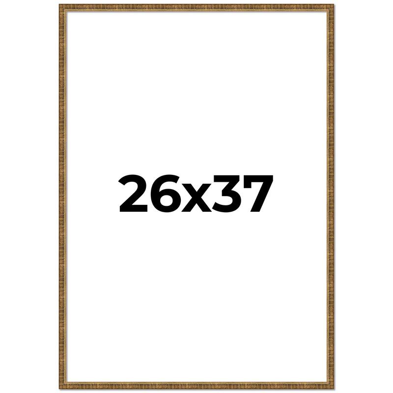26x37 Frame Gold Picture Frame - Complete Modern Photo Frame Includes