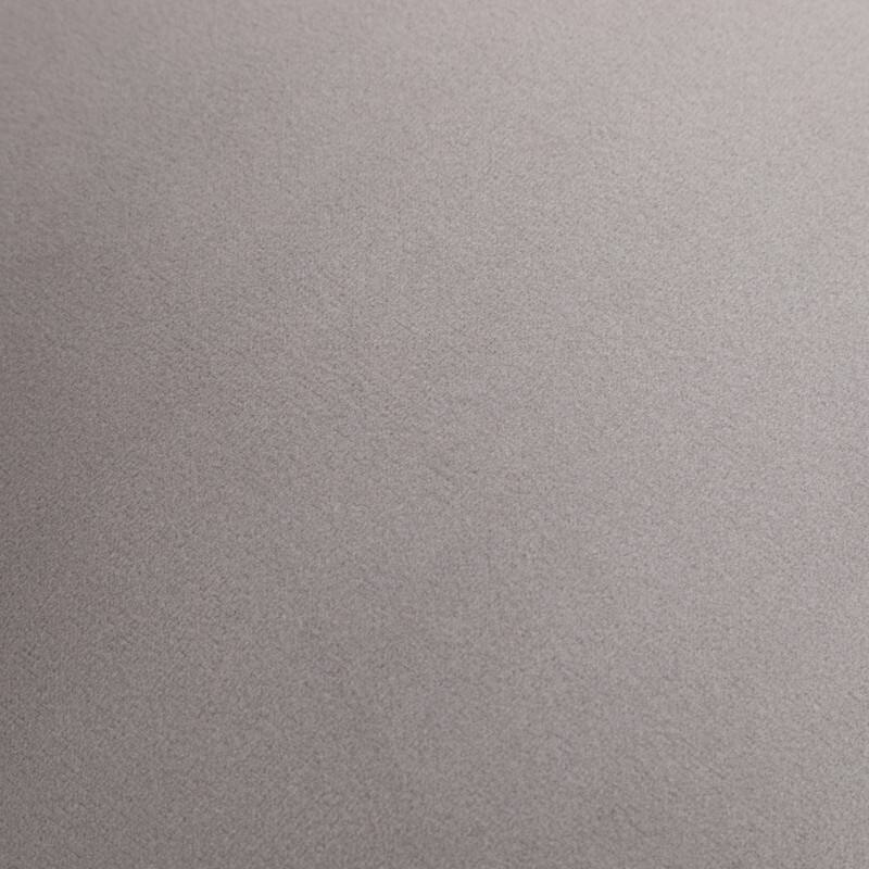 Modern Contempoary Velvet Dining Chair Set of 2 with Metal Frame Legs and Back Pull