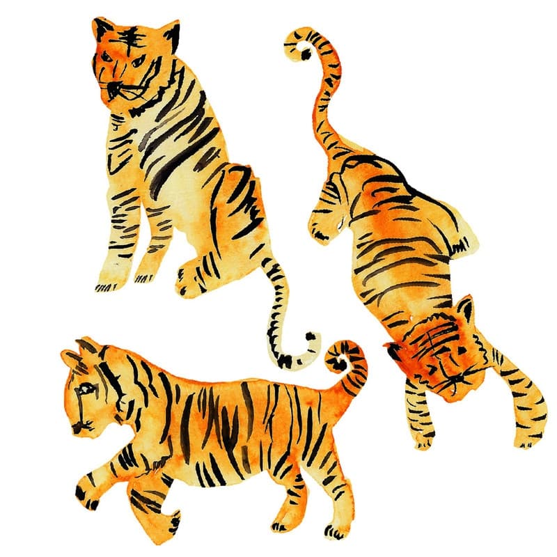 Tempaper Watercolor Tiger Removable Wall Decals (Contains 6 Pieces on (3) 17.25" x 9.75" Sheets) - Red