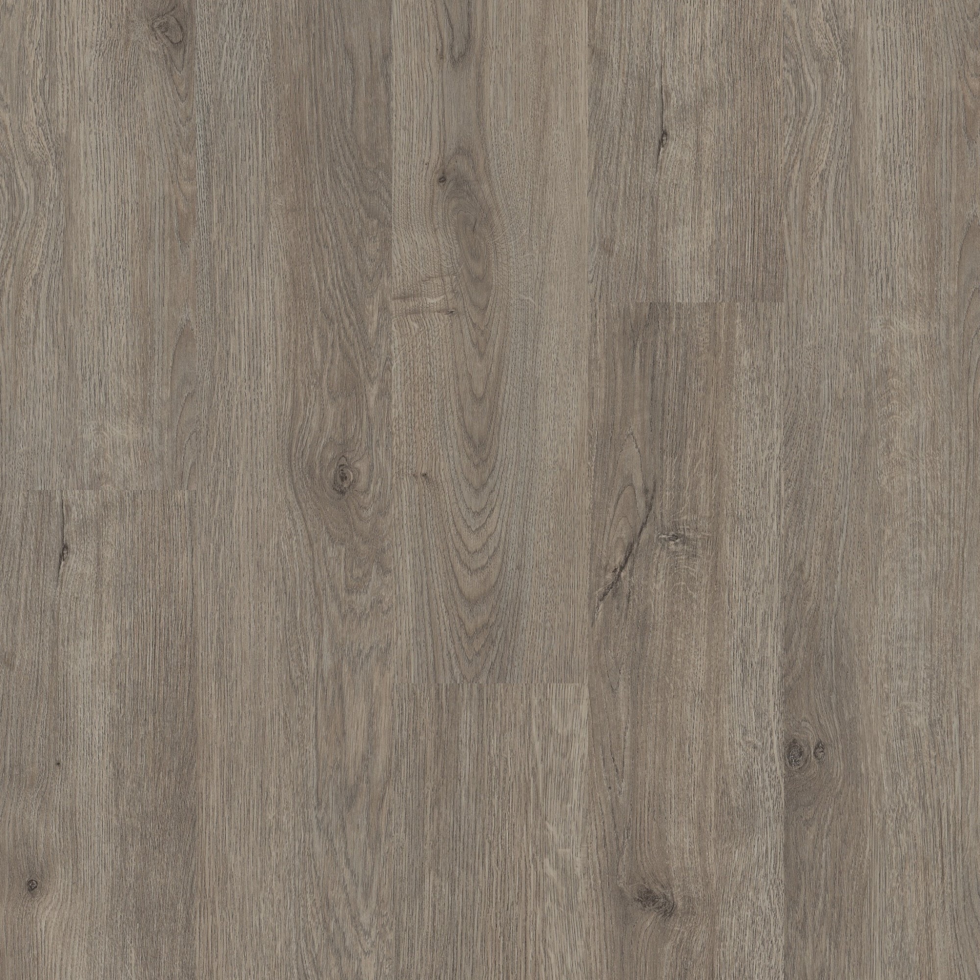 Shaw 2044V World Fair 6 II 6" x 48" Textured Vinyl Flooring with 6mil