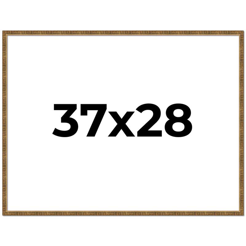37x28 Frame Gold Picture Frame - Complete Modern Photo Frame Includes