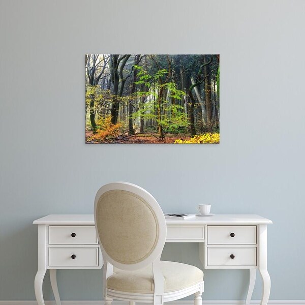 Easy Art Prints Lars Van de Goor's 'Colors of the Forest IV' Premium Canvas Art