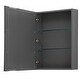 preview thumbnail 18 of 18, Daria 36-inch Single Vanity, No Top, Medicine Cabinet