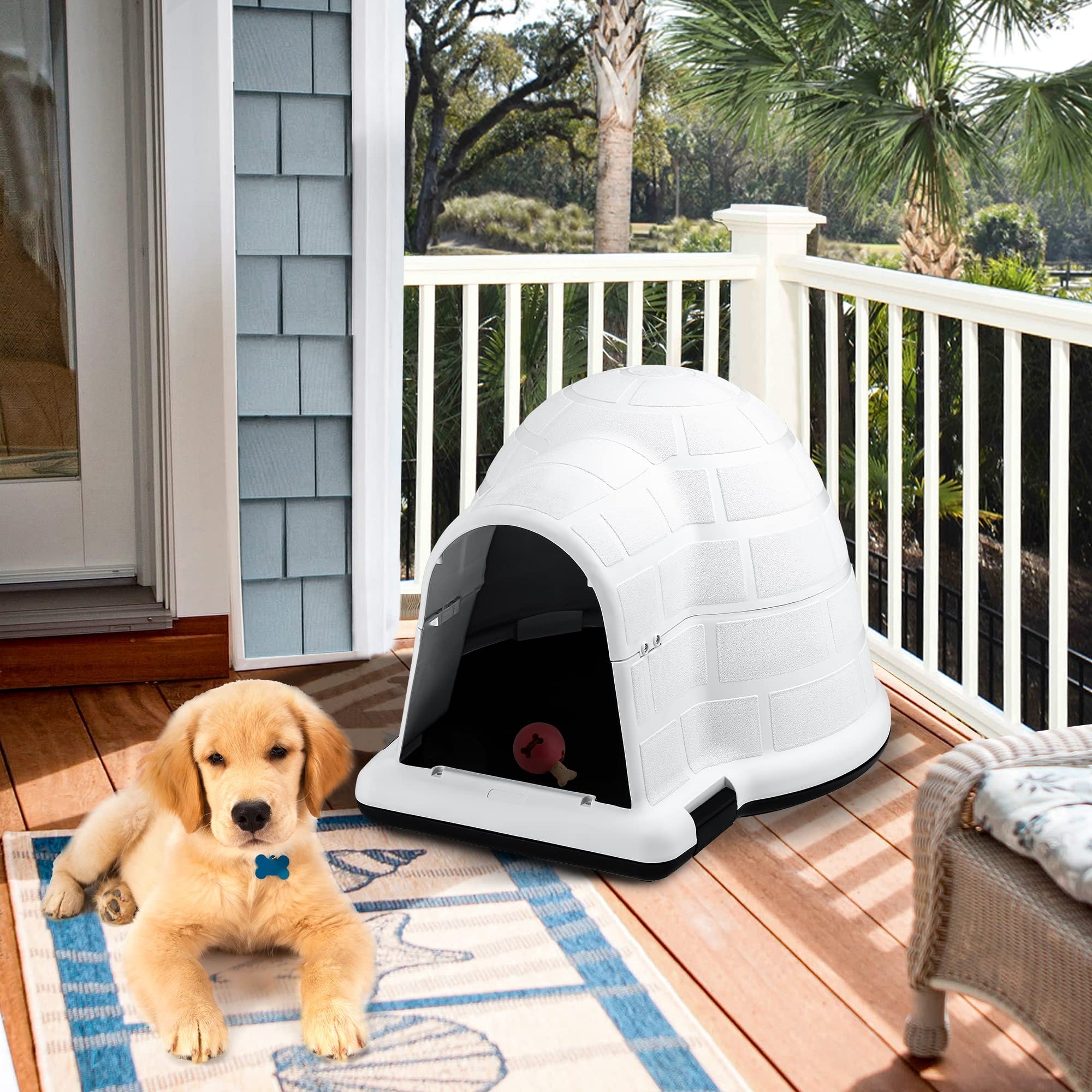 Insulated igloo best sale dog house