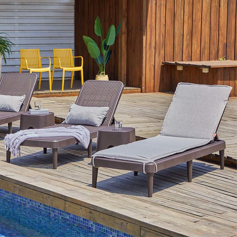 Mahina Resin Outdoor Chaise Lounge Chair by Havenside Home