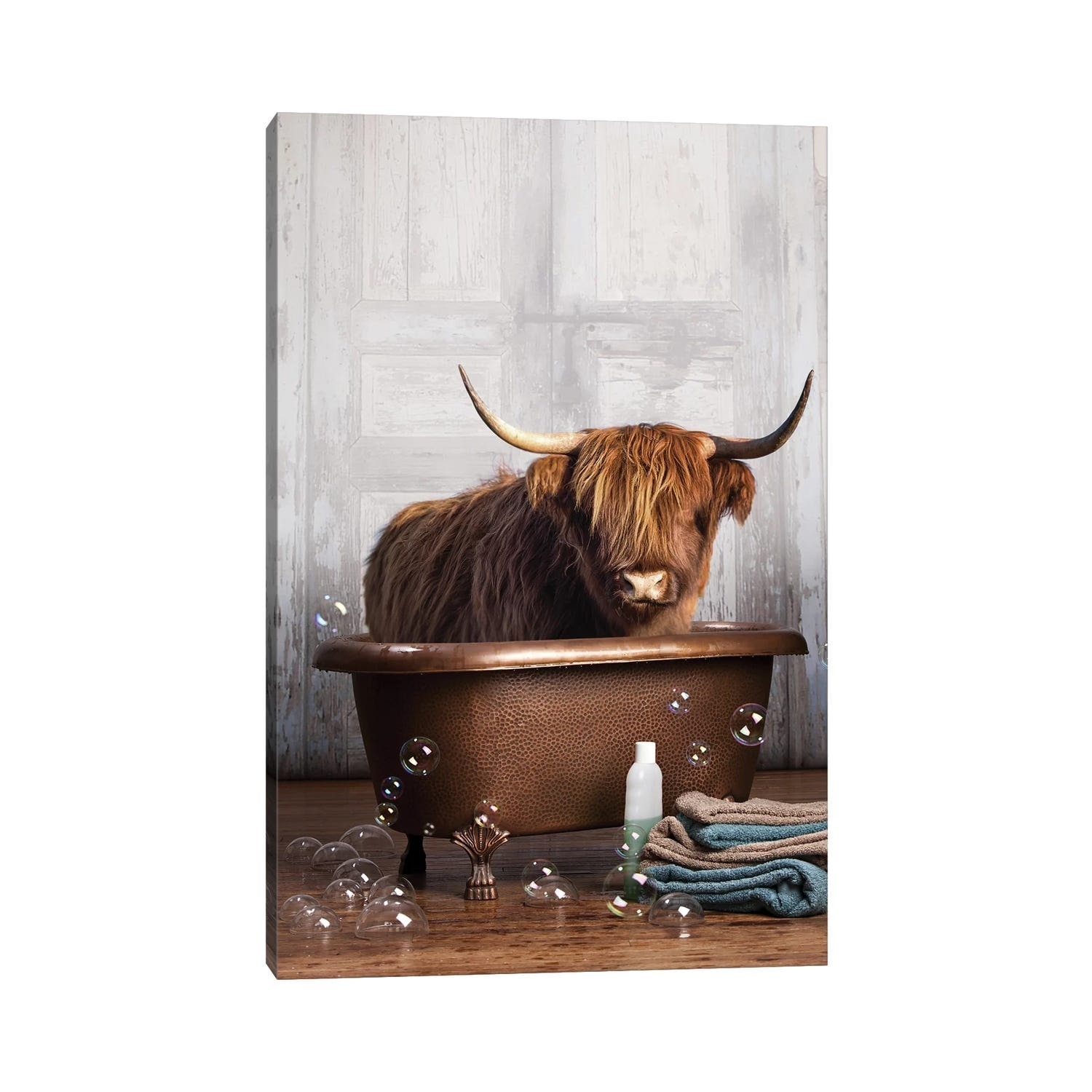 iCanvas "Highland Cow In The Tub" by Domonique Brown Canvas Print