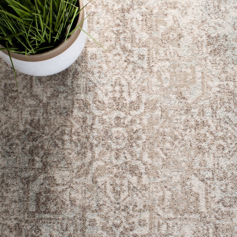 SAFAVIEH Evoke Quinn Vintage Distressed Rug