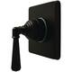 Option Oil Rubbed Bronze