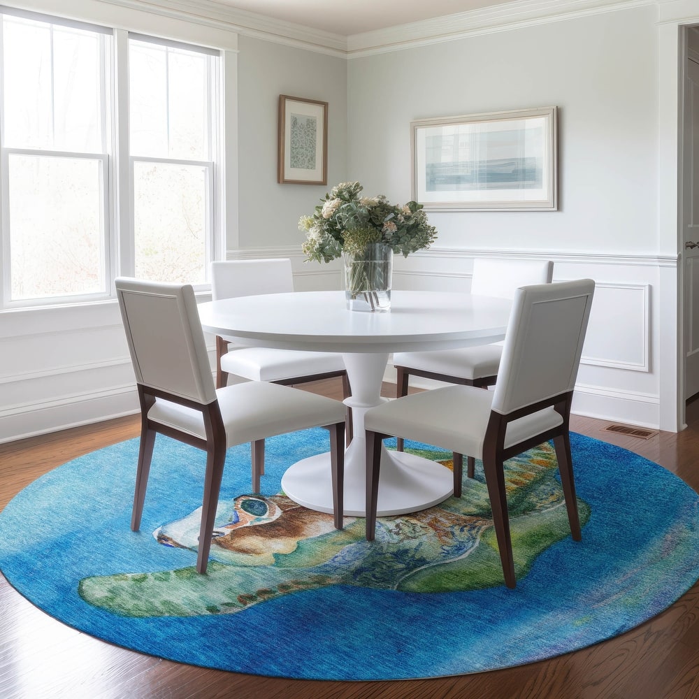 Premium Washable Super Soft Turtle Life Mayfield Rug