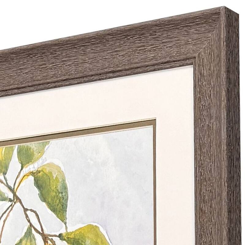 Paragon Just a Pear Framed Art - Set of 2