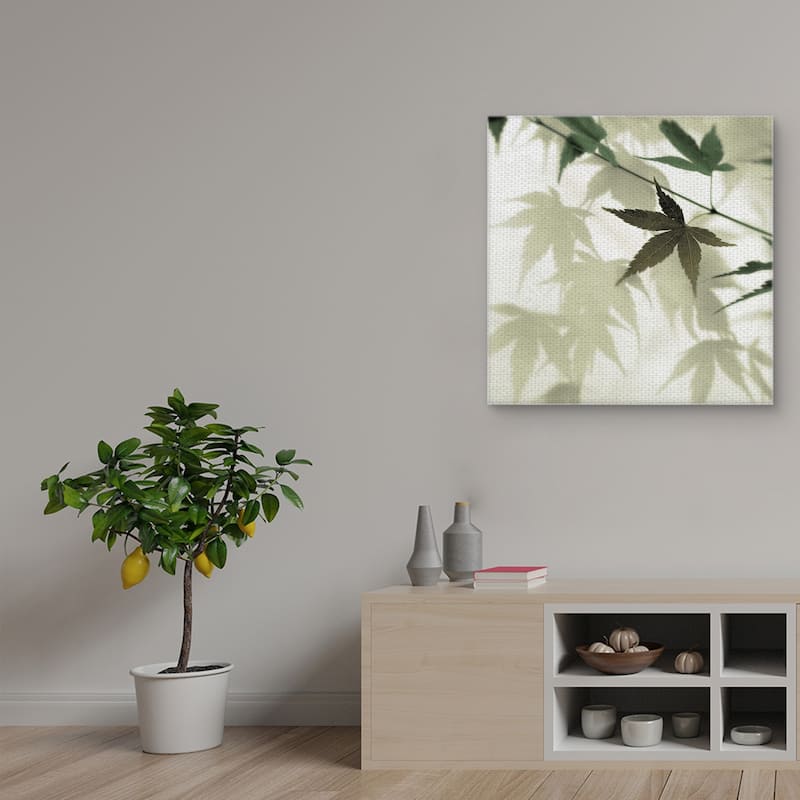 Japanese Maple #1 by Alan Blaustein Canvas Art Print