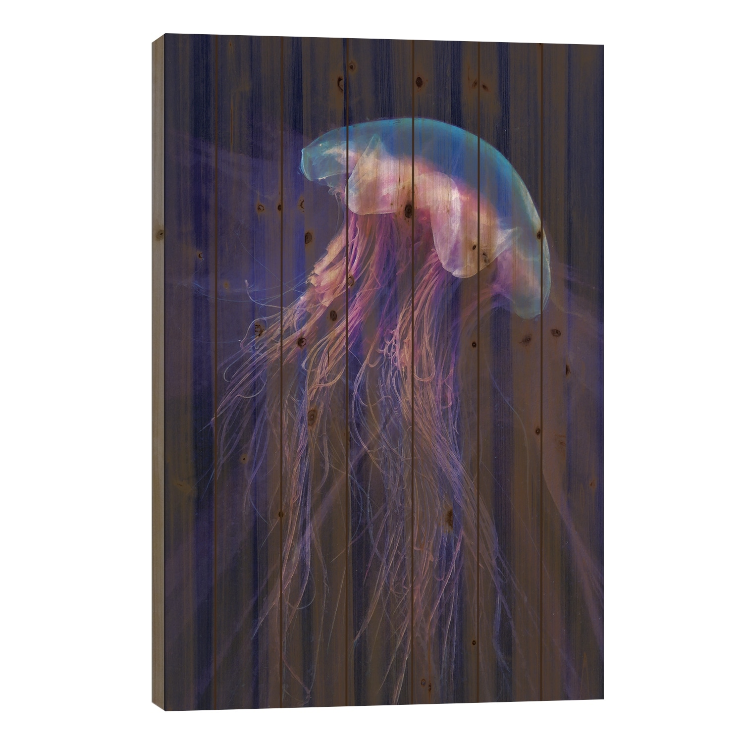 Peri Gelatinous II Print On Wood by Steve Hunziker - Multi-Color