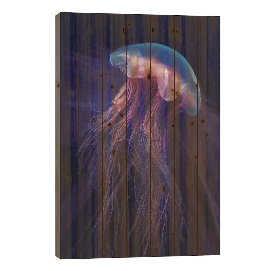 Peri Gelatinous II Print On Wood by Steve Hunziker - Multi-Color