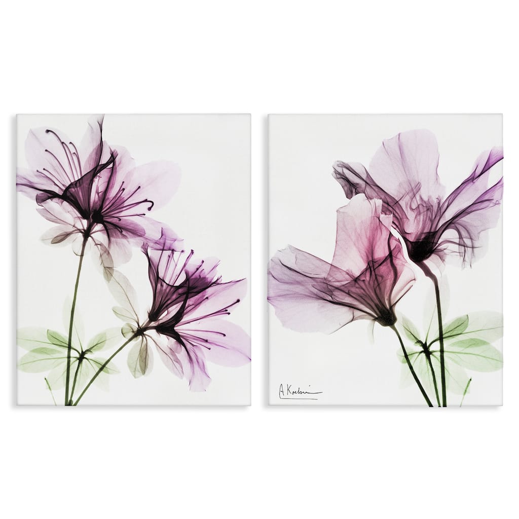 Stupell Purple Flower Bloom Design, 2pc Multi Piece Canvas Wall Art Set