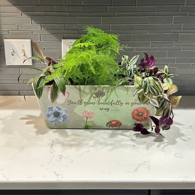 16" Rectangular Indoor/Outdoor Self-Watering Bamboo Planters
