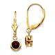 Option Garnet