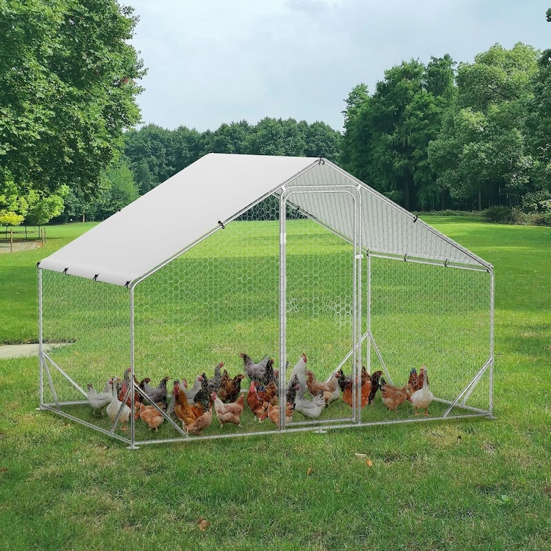 Large Metal Chicken Coop, Walk-in Poultry Hen House, for Chickens, Ducks - 9.8×6.5×6.5 FT