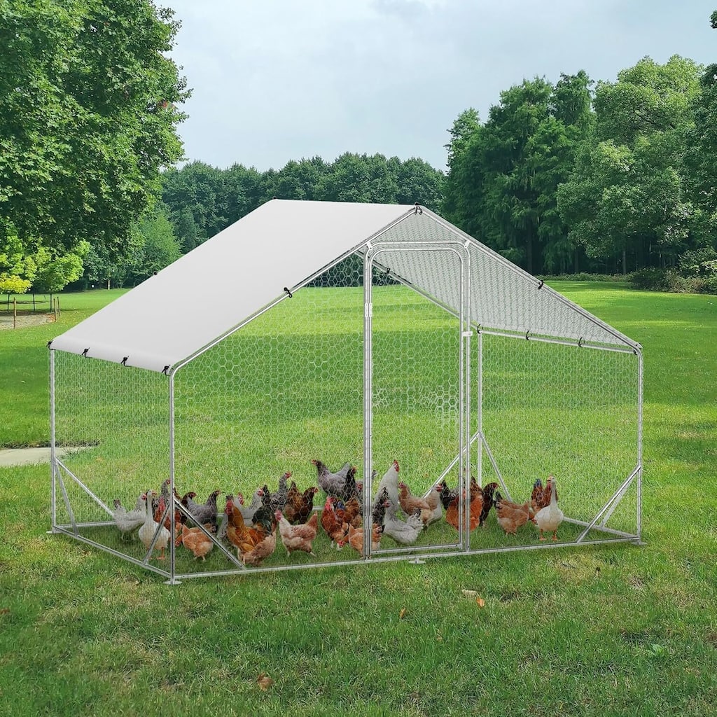 Large Metal Chicken Coop, Walk-in Poultry Hen House, for Chickens, Ducks