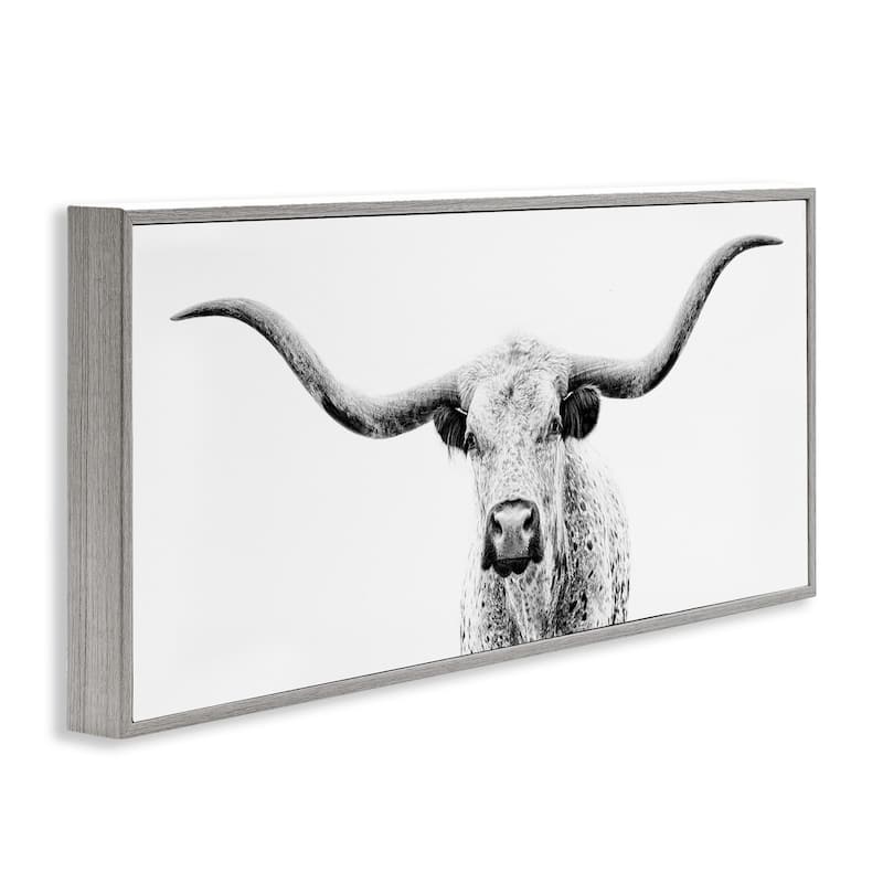 Stupell Longhorn Cattle Gazing Modern White Photography Design Framed Wall Art, Design by PHBurchett