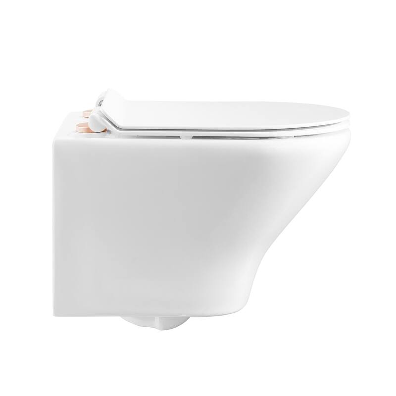 Monaco Wall-Hung Round Compact Toilet Bowl