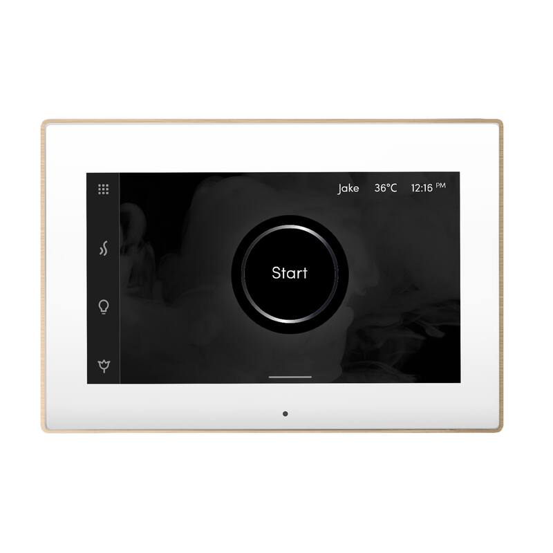 Mr Steam ISX Isteamx Steam Shower Control and Steamhead - White / Brushed Bronze