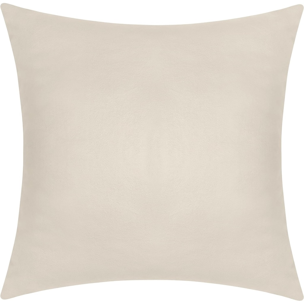 Delara Pack of 1 Velvet Decorative Throw Pillow Cover 20x20 Inches, Cushion Cover, Soft and Breathable Fabric, Hidden Zipper