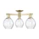 Option Antique Brass / Clear