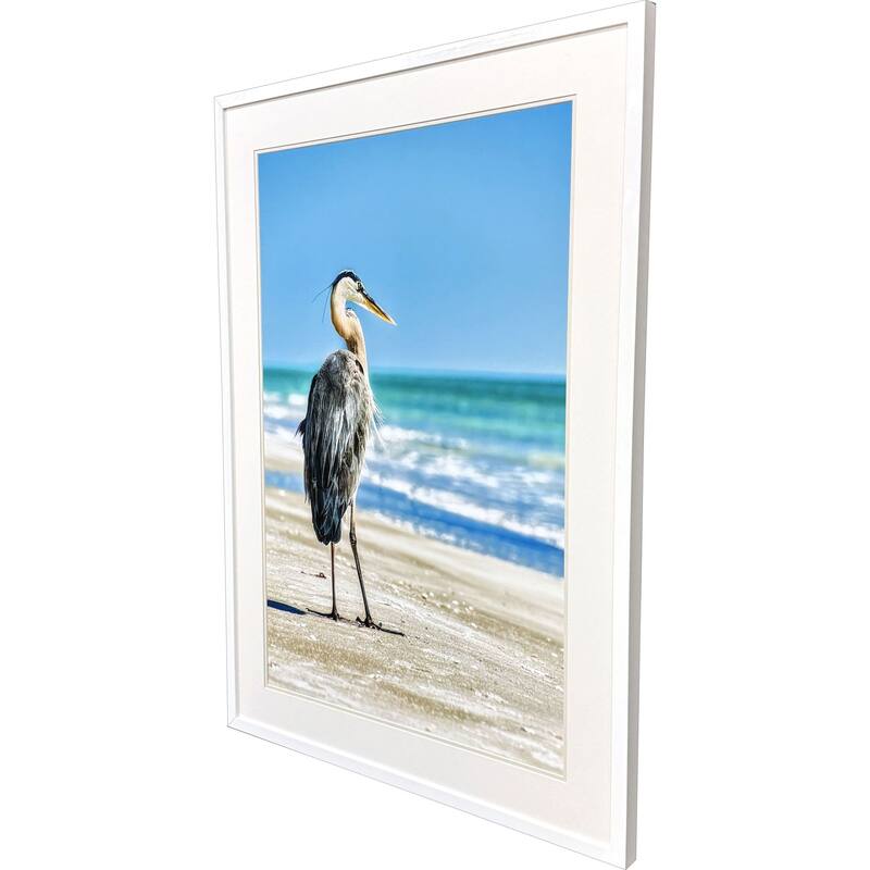 Paragon Avian Perspective Framed Art