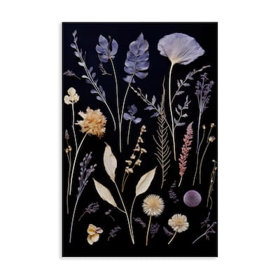 Stupell Various Sprigs on Black Canvas Wall Art Design By Heidi Kuntz