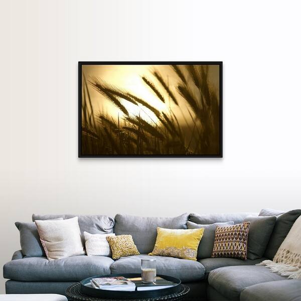 Shop Close Up View Of Wheat Field Sunset Black Float Frame