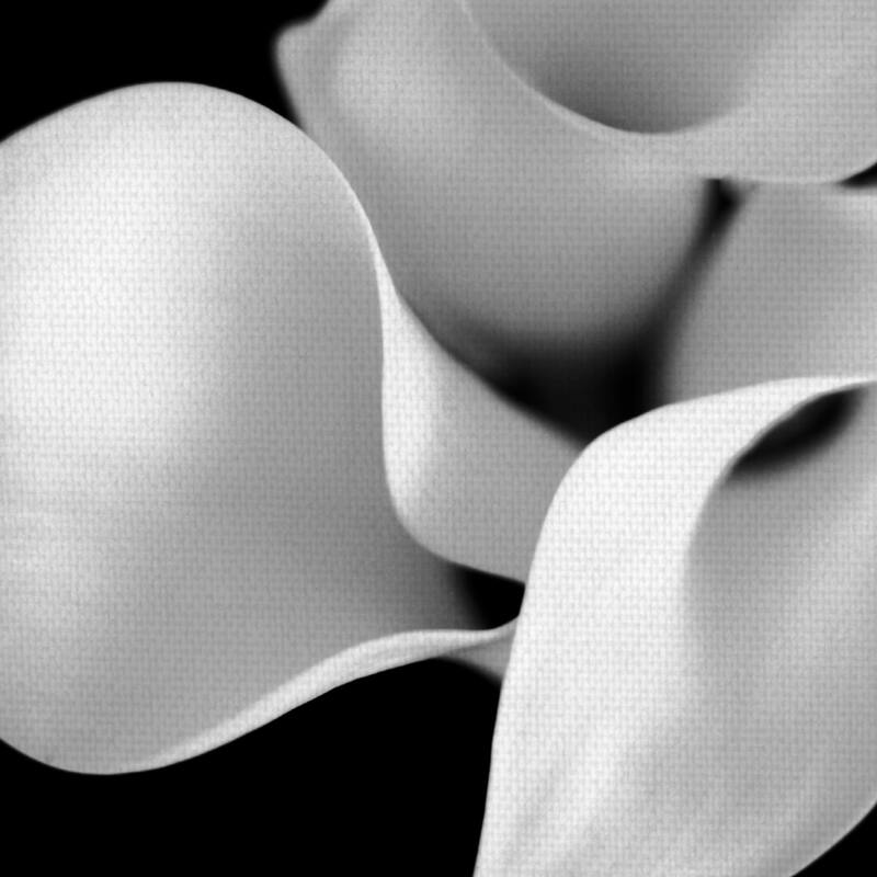 Untitled 26 by Michael Faragher Canvas Art Print