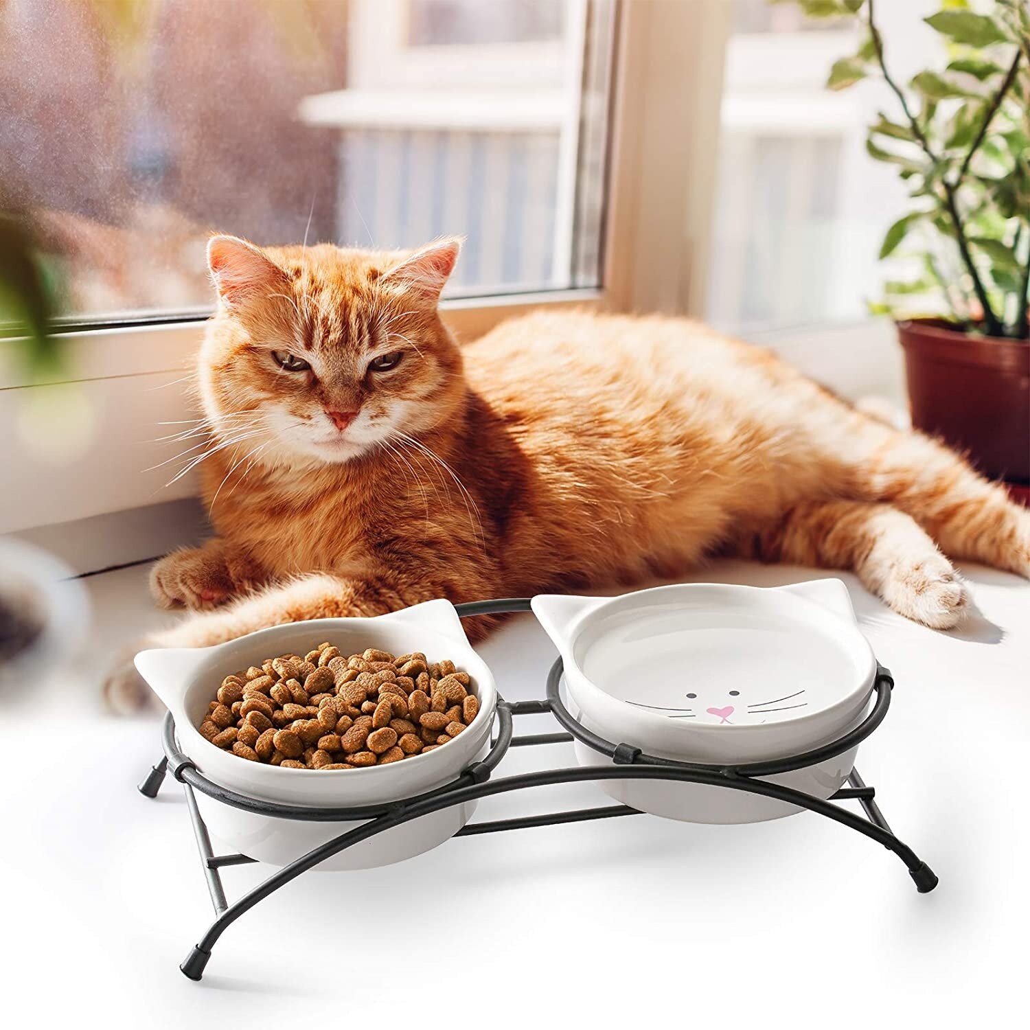 https://ak1.ostkcdn.com/images/products/is/images/direct/6a79747d34abc613a4920419ffca301197d62e6c/Y-YHY-Cat-Food-Bowls%2C-Raised-Cat-Bowls-for-Food-and-Water%2C-Ceramic-Cat-Bowls-Elevated%2C-Cat-Dishes-for-Cat-or-Small-Dogs.jpg