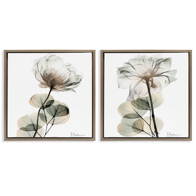 Stupell Cream Transparent Floral Framed Floater Canvas Wall Art Design By Albert Koetsier (Set of 2) - 18 x 18 - Brown