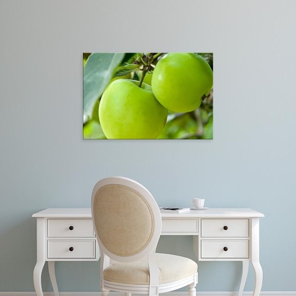 Easy Art Prints Paul Thompson's 'Two Cooking Apples On Tree' Premium Canvas Art