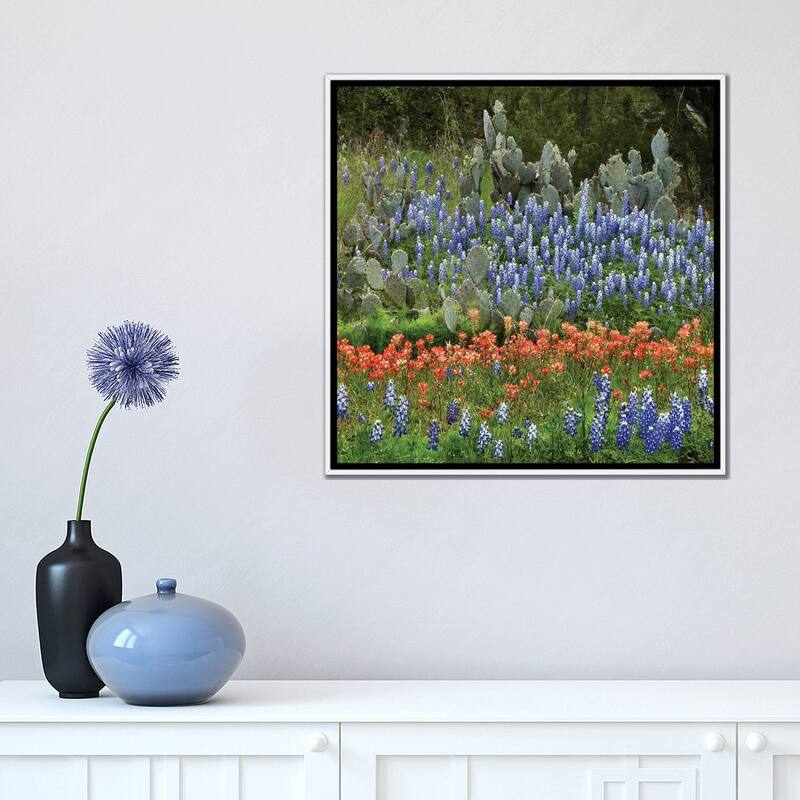 iCanvas "Bluebonnet, Paintbrush Cactus, Texas And Pricky Pear - Horizontal" by Tim Fitzharris Framed Canvas Print