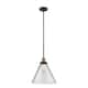 Option Clear / Black Antique Brass